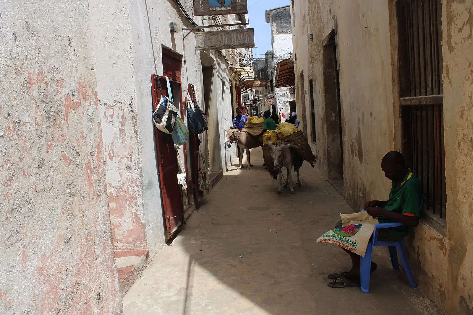 Usita wa Mui, la via principale di Lamu