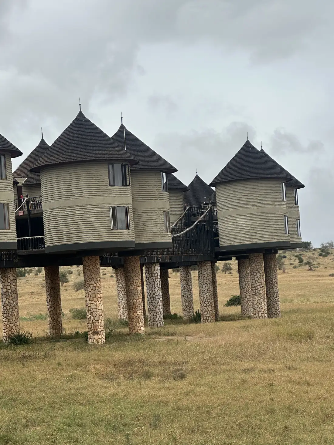 Le torri su palafitte del Salt Lick Lodge
