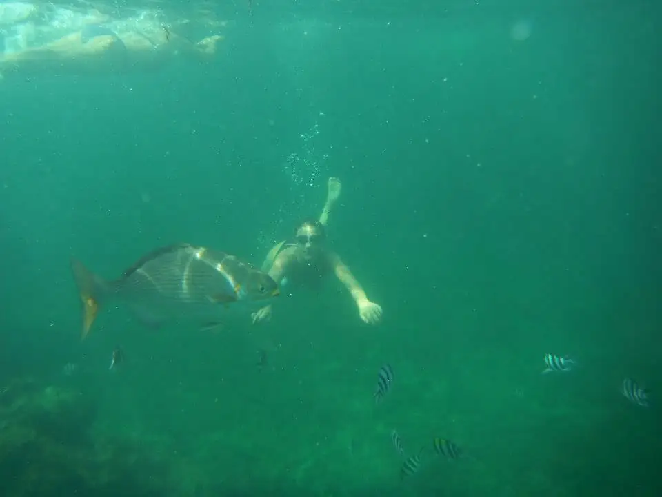 Snorkeling nel parco marino
